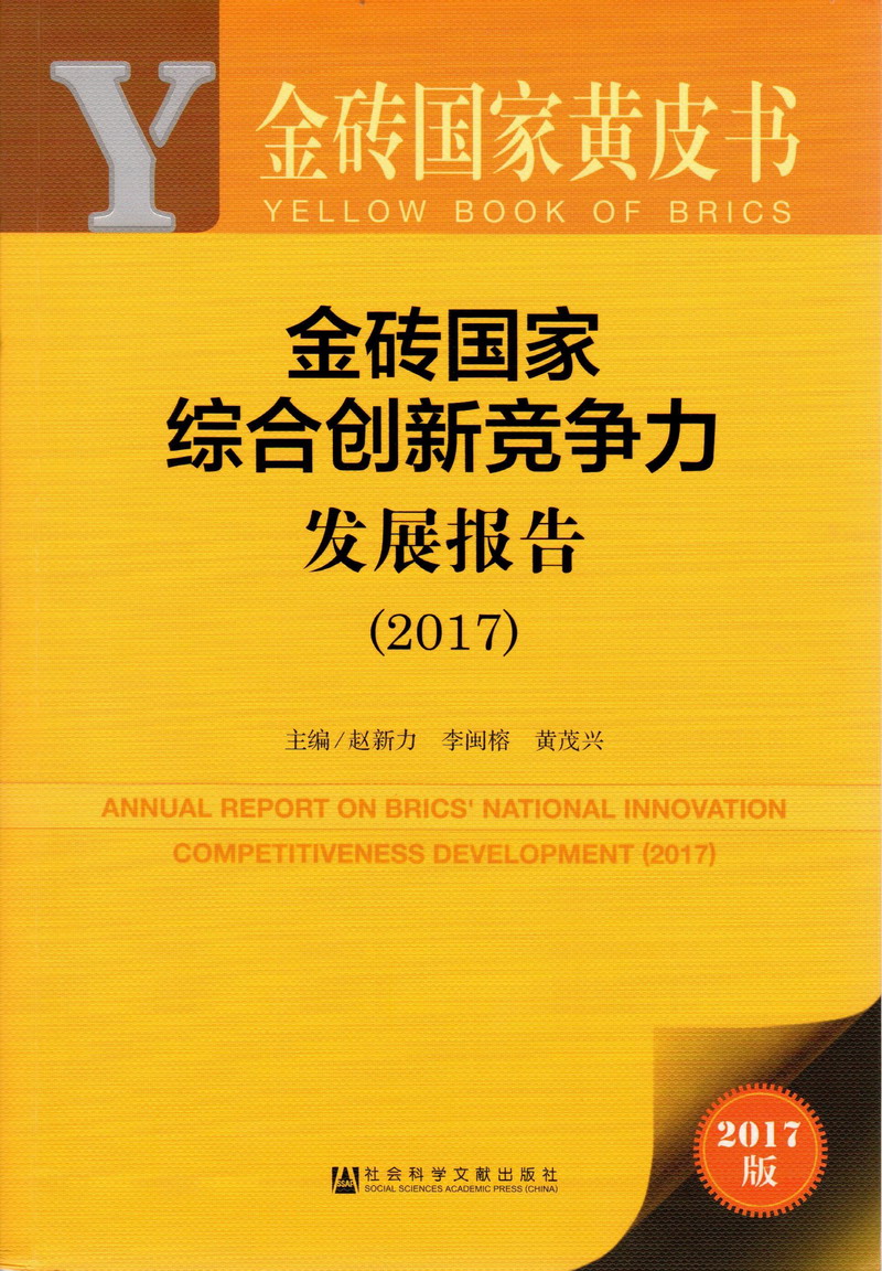 www…啊…不要…好痛…视频金砖国家综合创新竞争力发展报告（2017）